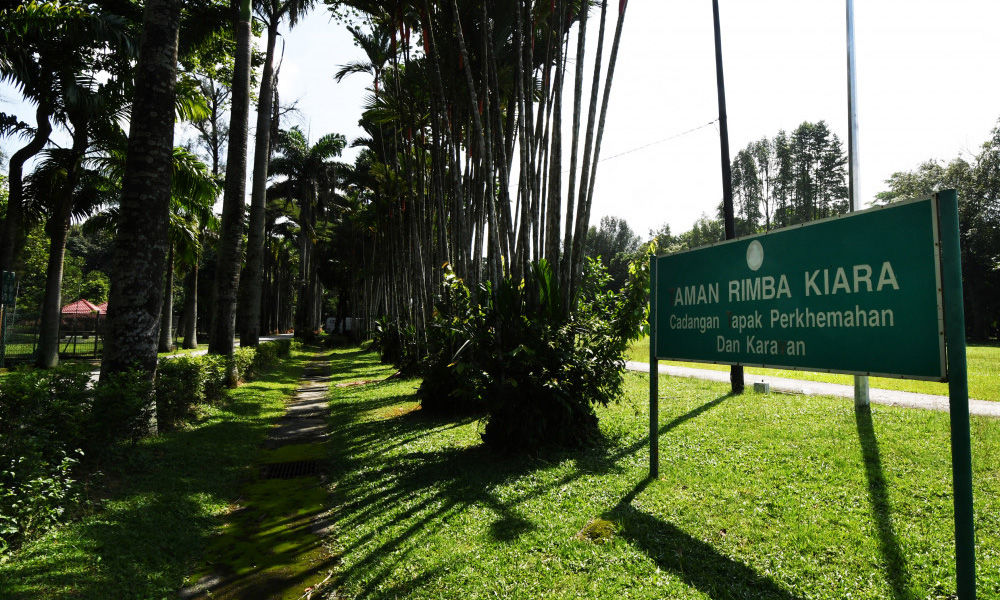 Taman Rimba Kiara: Federal court fix June 14 to hear application by DBKL, others