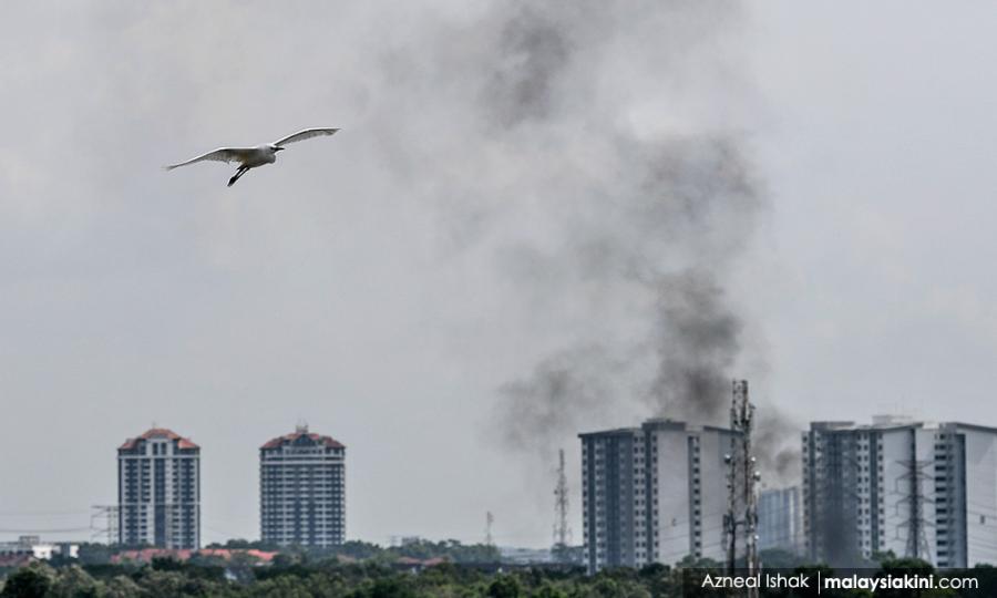 Malaysiakini Comment The Inconvenient Truth About Net Zero Emissions Malaysiakini Comment The Inconvenient Truth About Net Zero Emissions