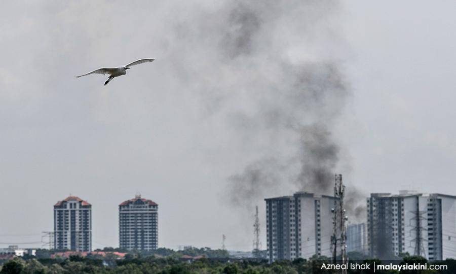 Malaysiakini Comment The Inconvenient Truth About Net Zero Emissions