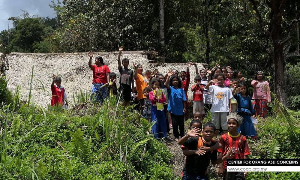 Study: High level of political distrust among some Orang Asli communities