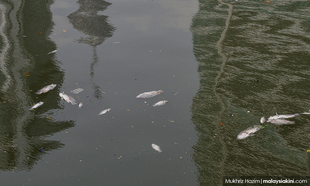 SURAT | Dedah segera hasil siasatan sampel air Sungai Perai