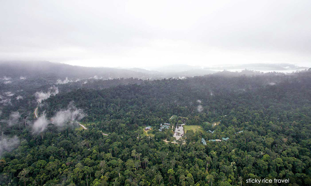 碳交易无涉土地抵押变卖,杰菲里力陈能护林赚钱