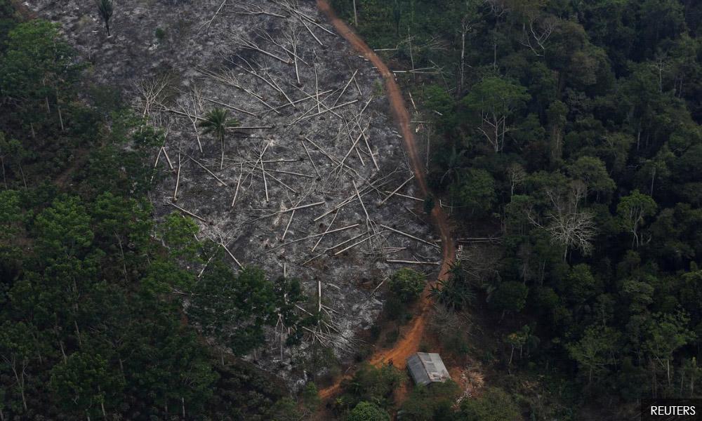 Spike in Amazon deforestation draws shock, ups pressure on Brazil