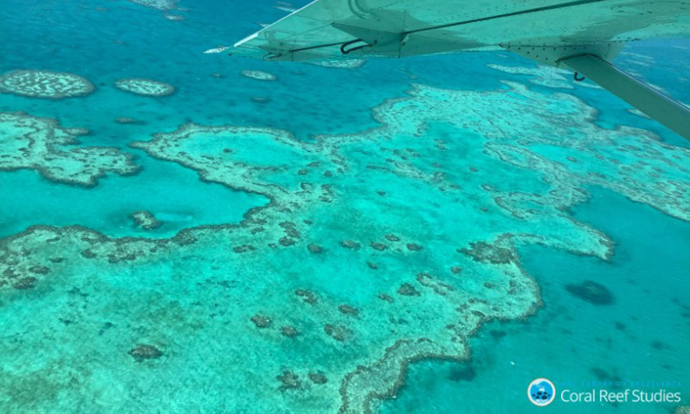 Unesco keeps Great Barrier Reef off 'in danger' list after Australian lobbying