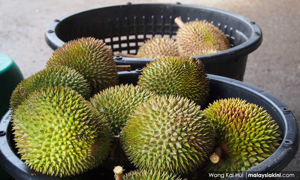 Police record statement from durian giveaway event organiser