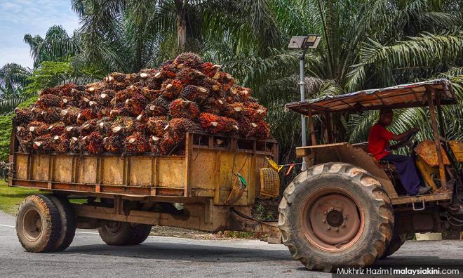 FGV: Kerjasama dengan Tenaganita untuk tingkat amalan buruh