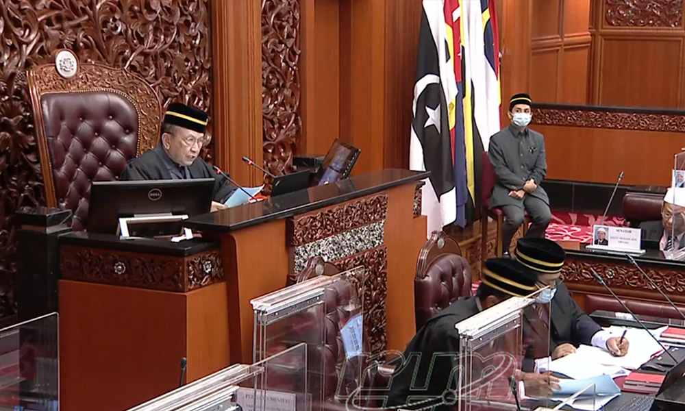 Dewan Negara appoints five select committee members