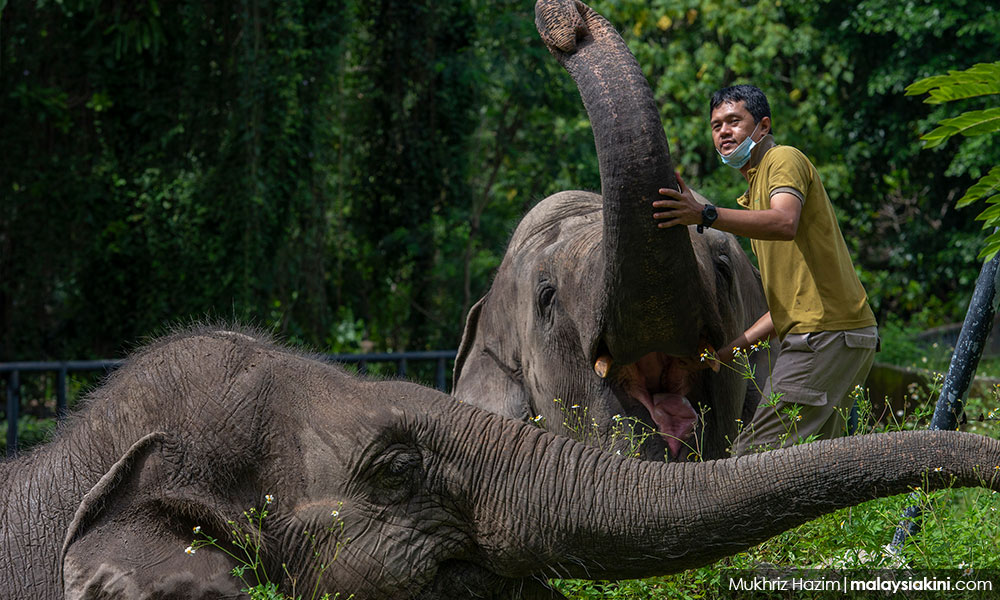 Sampai masanya kita tutup zoo - persatuan pengguna