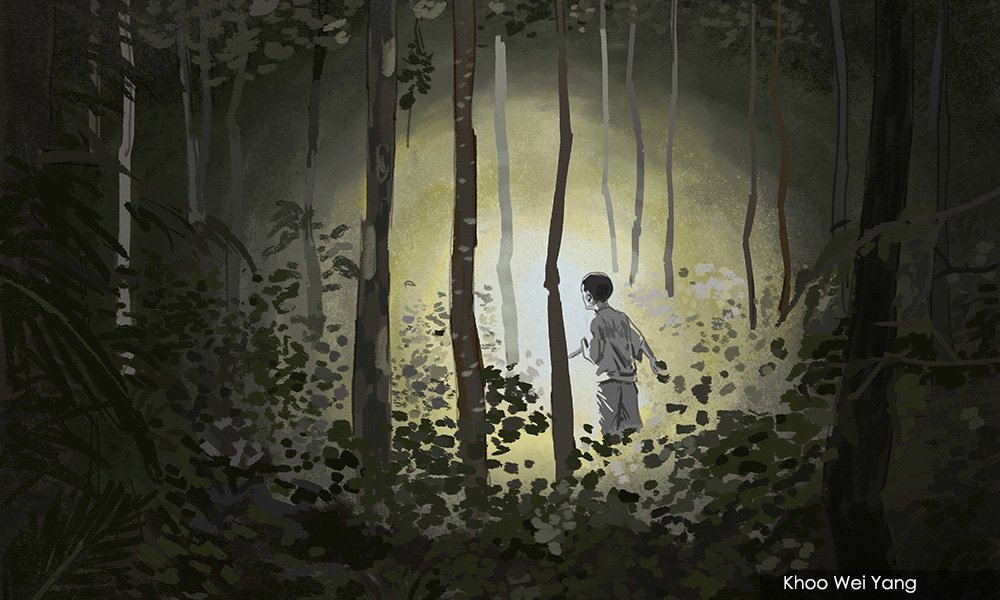 How a five-year-old girl crossed jungles and rough seas to safety
