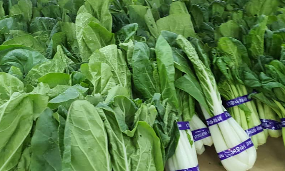 CAP dakwa harga sayur naik hingga 200%