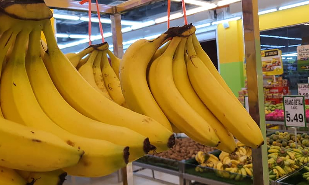 No reports of banana crops infected with helicobacter 'worms' - Agriculture Dept