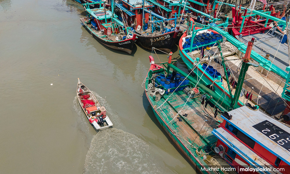 LETTER | Covid-19, farmers and fishermen: A lesson not to be missed