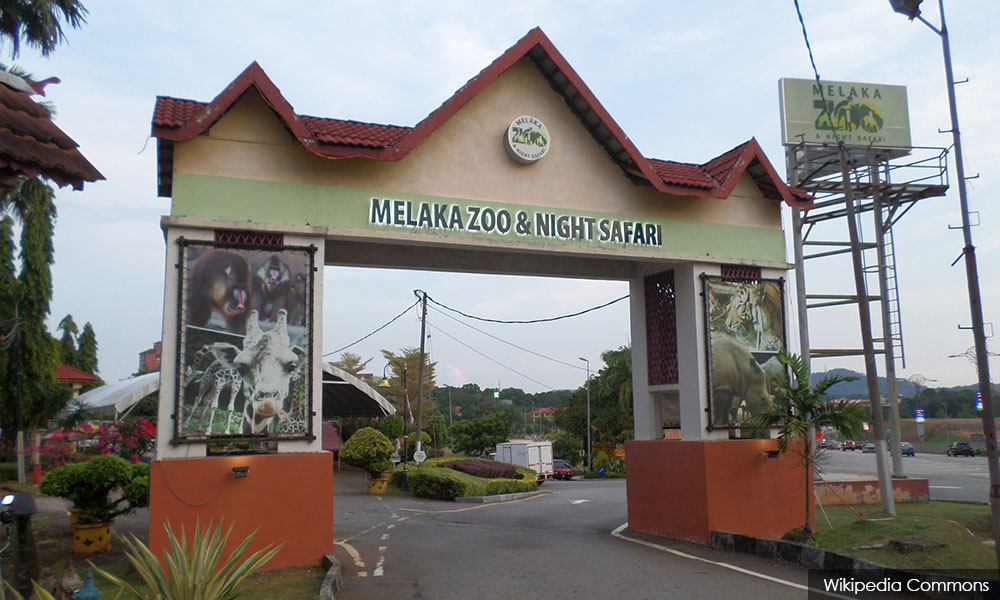 Malacca Zoo needs refrigerated container to store perishable items