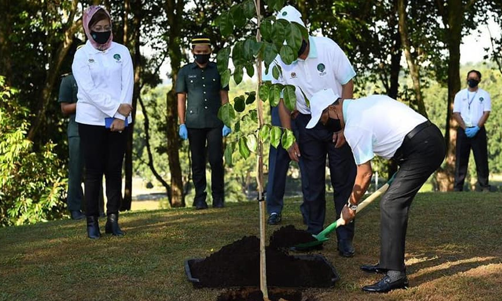 Sasaran 100 juta pokok: Kelantan catat 11,000 pokok
