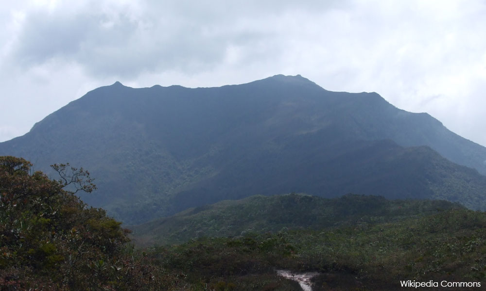 JPSM mahu lahirkan 500 malim gunung setahun
