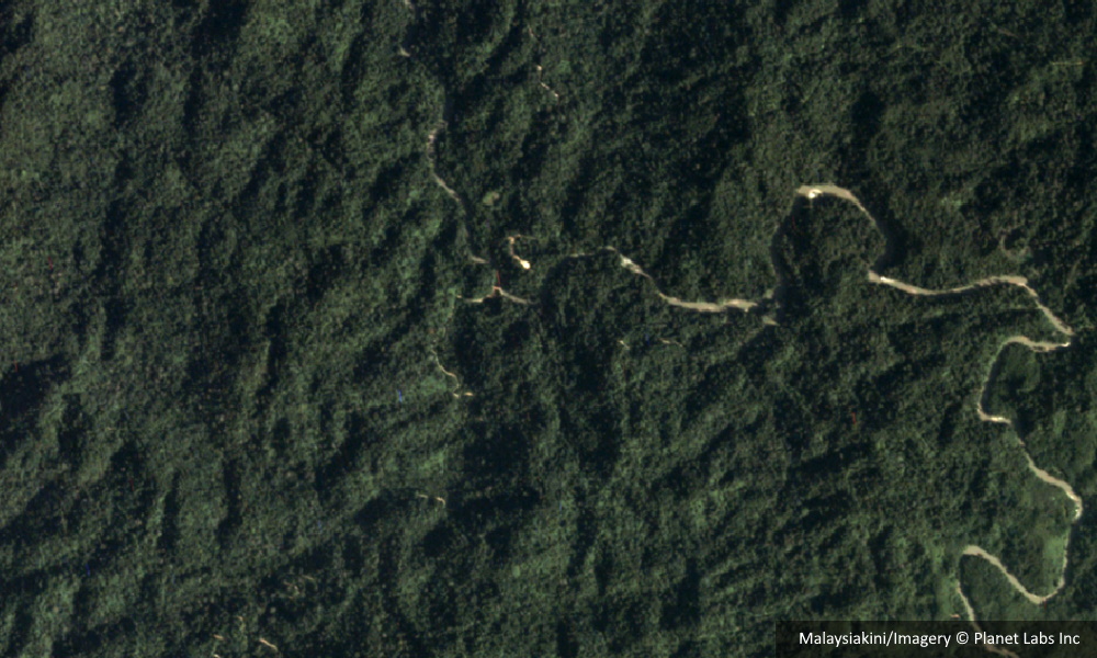Plans for rare earth mine in Jelai forest and other news you may have missed