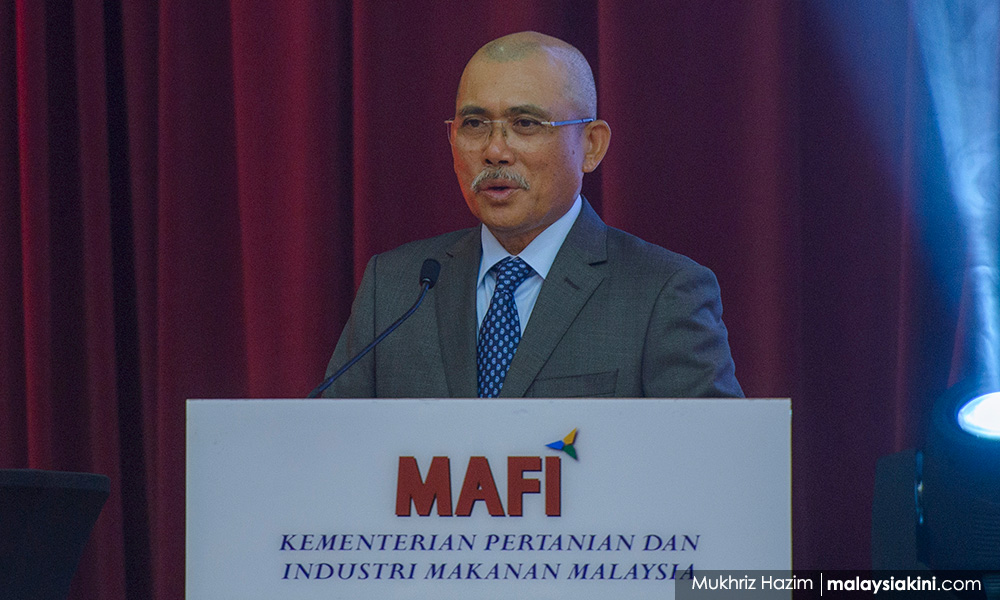 Harga baja, racun naik: K'jaan cari penyelesaian bantu petani