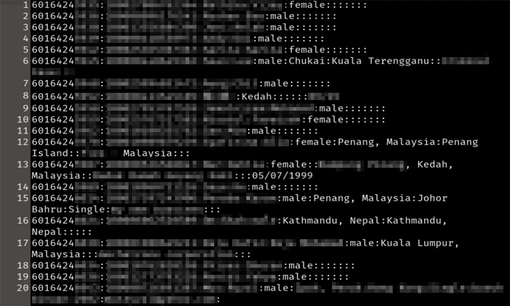 11m M'sian phone numbers exposed in latest alleged FB leak