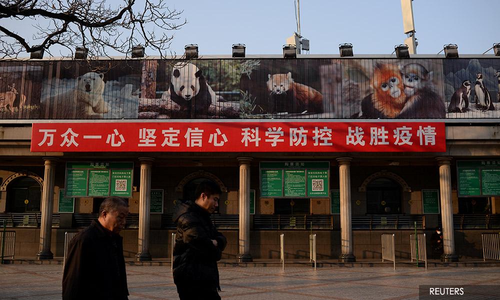 As WHO highlights Covid animal origins, China wildlife crackdown needs more teeth