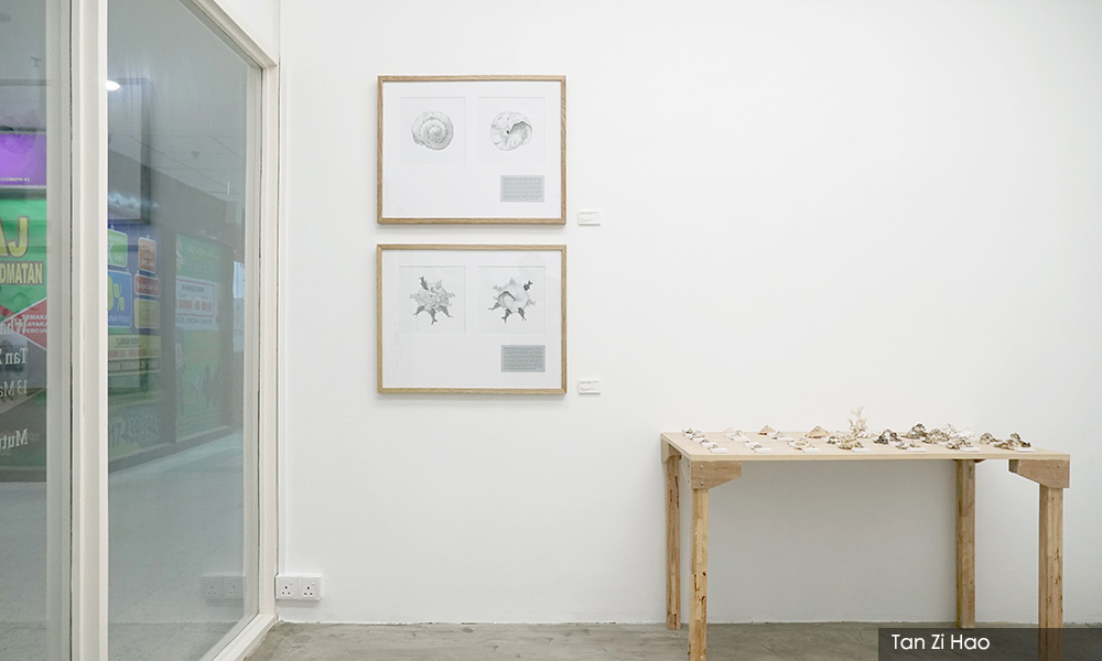 COMMENT | Mutual aid and gathering: An artistic coexistence