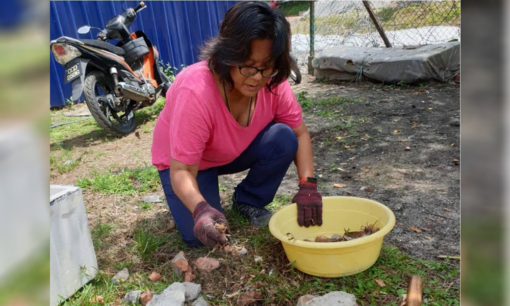 Back to dirt for a sustainable future