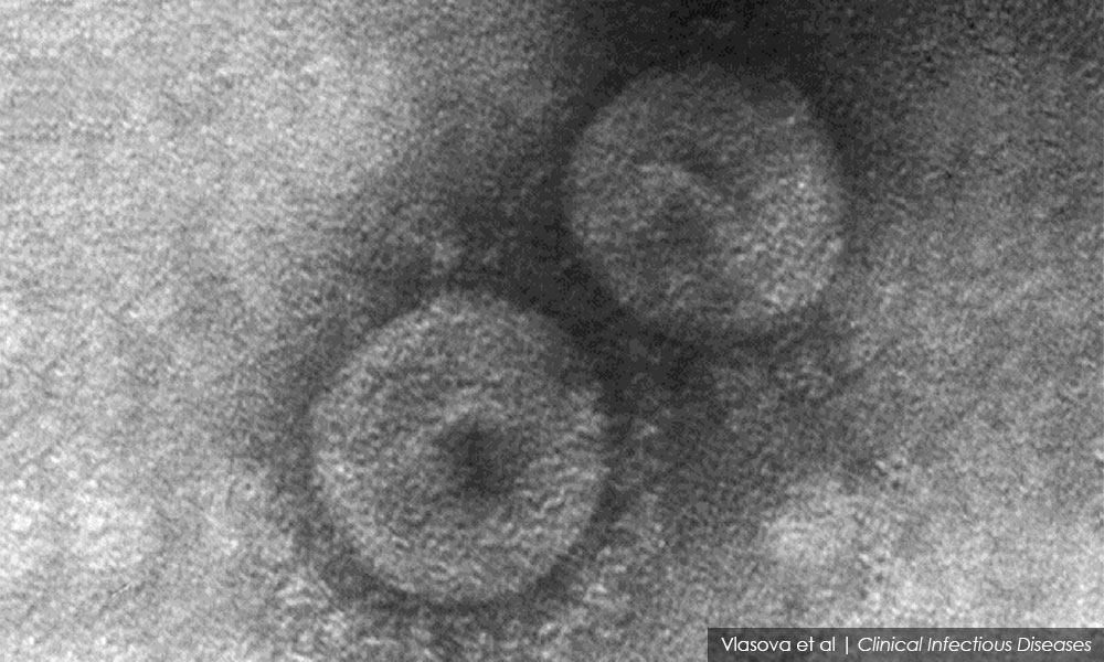New coronavirus found making the jump to humans in S’wak