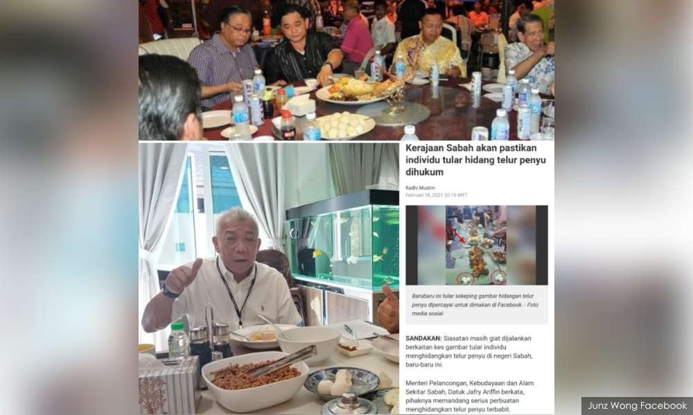 邦莫达餐桌上出现海龟蛋?沙巴政府允调查