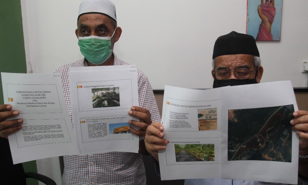 'Kelantan farmers lose up to RM400k daily from unsold veggies'