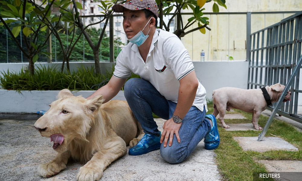Cambodia PM weighs in to get pet lion returned to owner