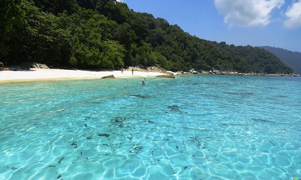 Irresponsible tourists, guides could kill turtles on picturesque islands