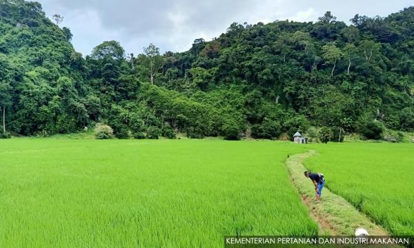 Projek Udang Di Felcra Seberang Perak Bukan Sebahagian Smart Sbb