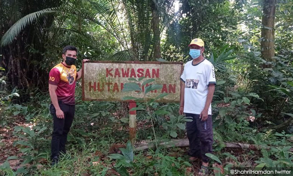 Umno Youth leader moots federal takeover of Kuala Langat forest reserve