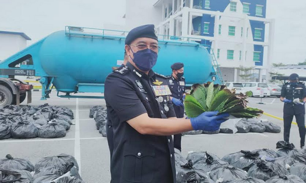 'Kantoi angkut 5.6 tan daun ketum dengan lori simen'