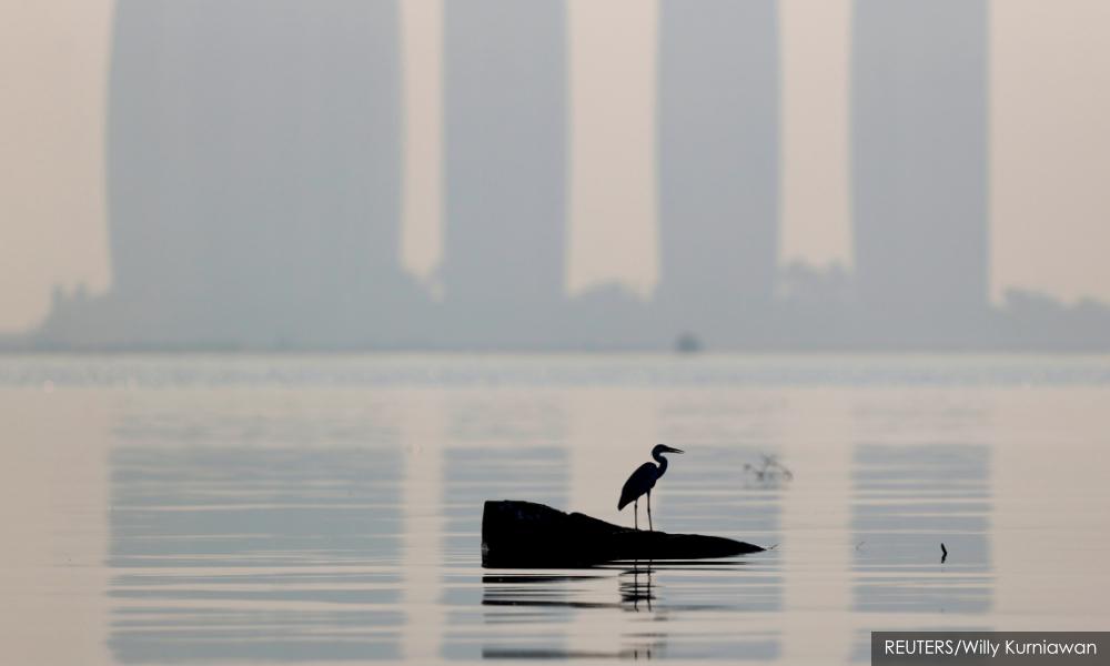 New WHO air-quality guidelines aim to cut deaths linked to fossil fuels