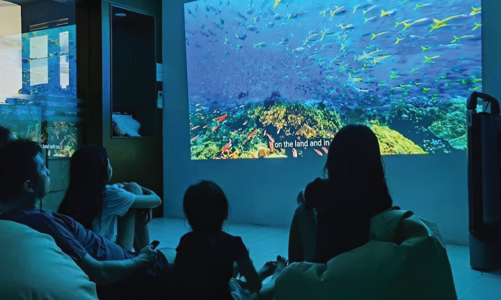 How to have a Home Cinema now that cinemas are closed.
