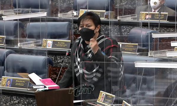 提个人议员法案反跳槽，阿莎丽娜盼政府放行动议