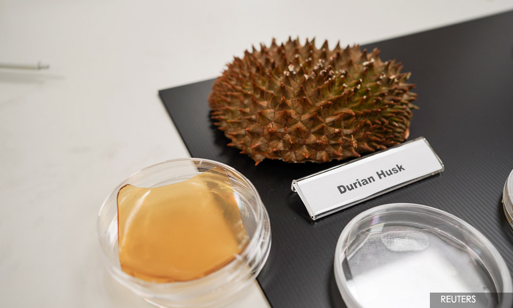 Scientists in Singapore transform fruit leftovers into antibacterial bandages