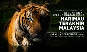Malaysiakini Harimau Malaya