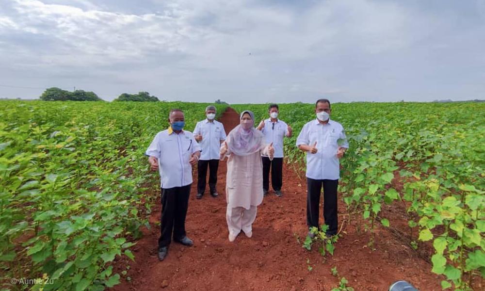 Locals not keen to work in plantations despite lucrative income - minister