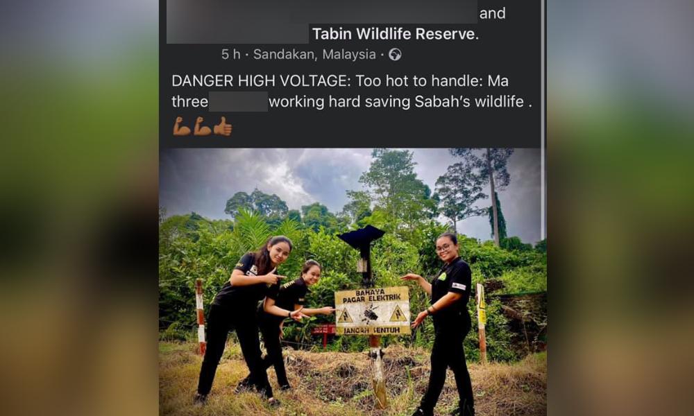 沙野生动物单位爆丑闻，前员工指控负责人性骚扰