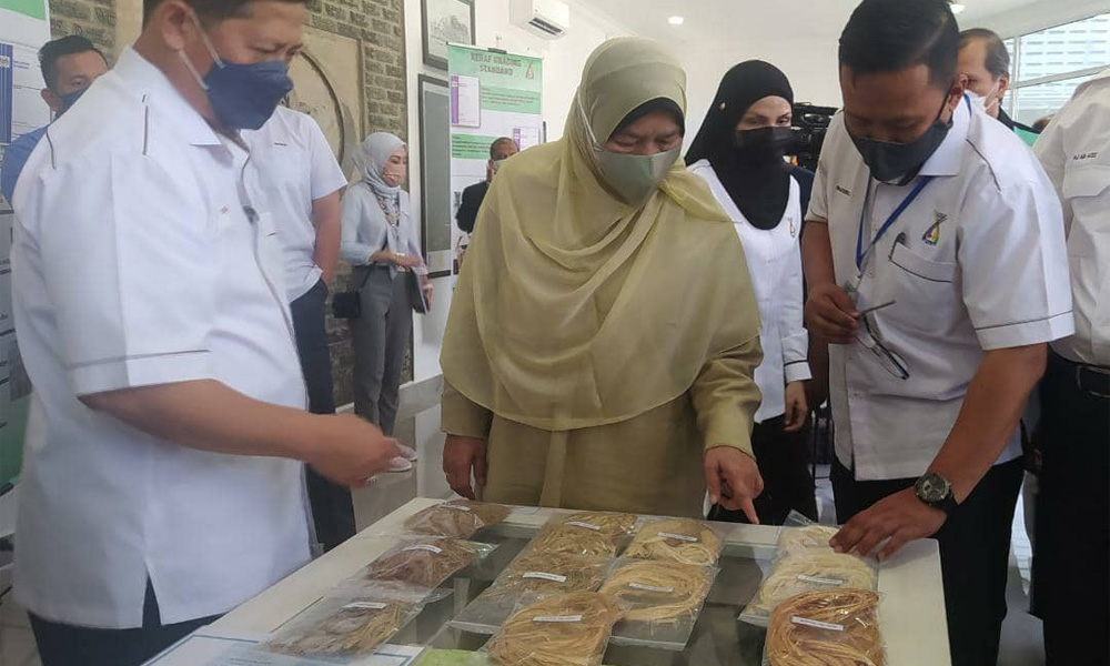 'Desas-desuslah', kata Zuraida mengenai parti baru