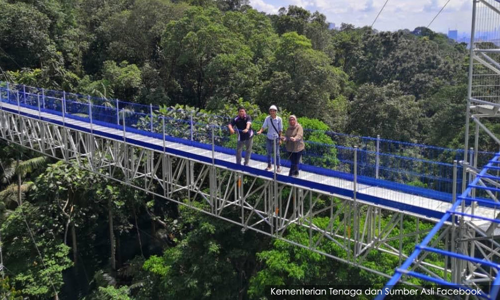 Forest skywalk provides panoramic view of KL
