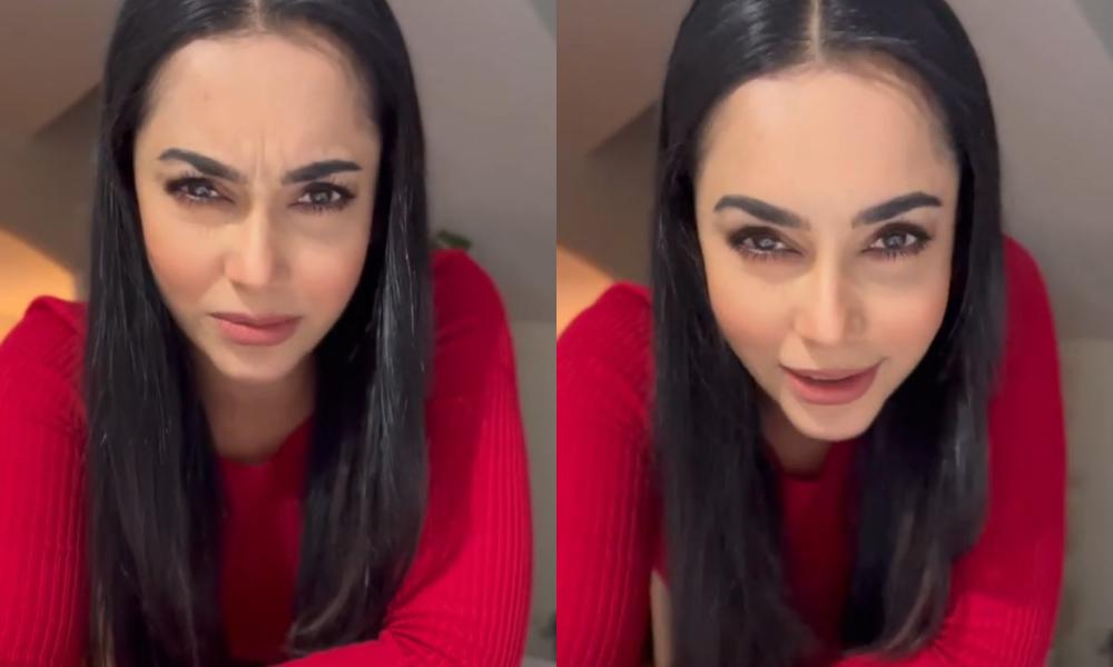 Sejuta pengikut media sosial bukan penanda aras populariti artis - Raja Ilya