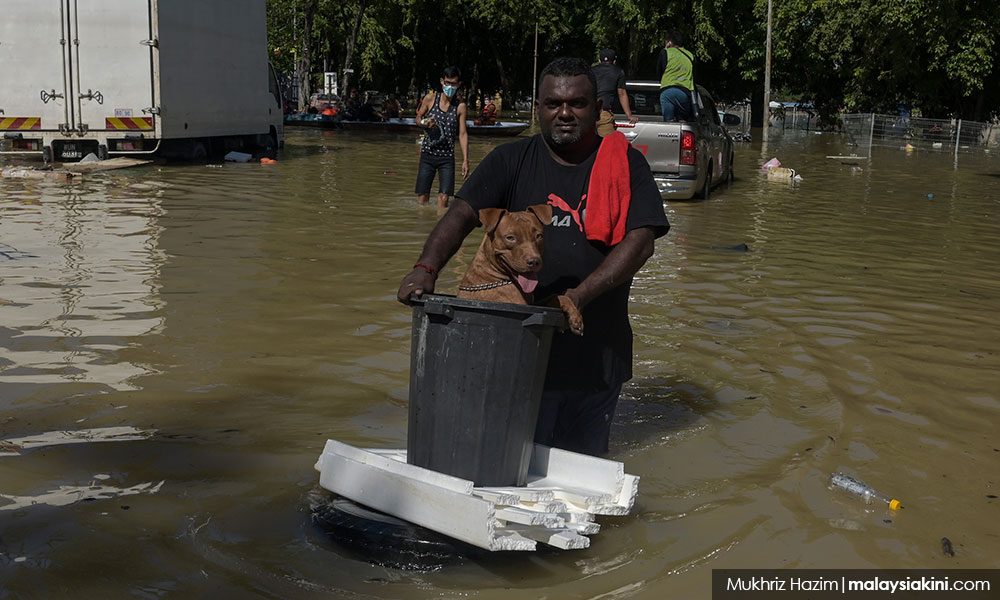 Trapped 'furkids' in flood-ravaged Taman Sri Muda not forgotten
