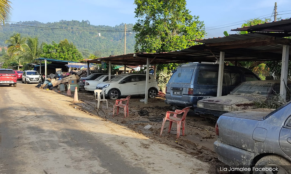 Cars towed not due to PM's visit - DAP rep