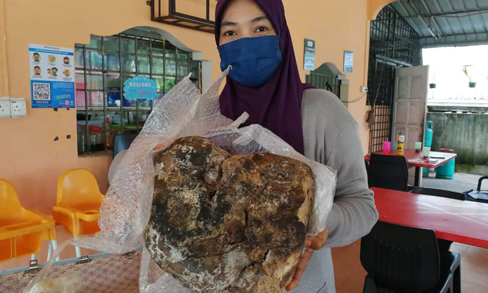 Sah bukan muntah paus