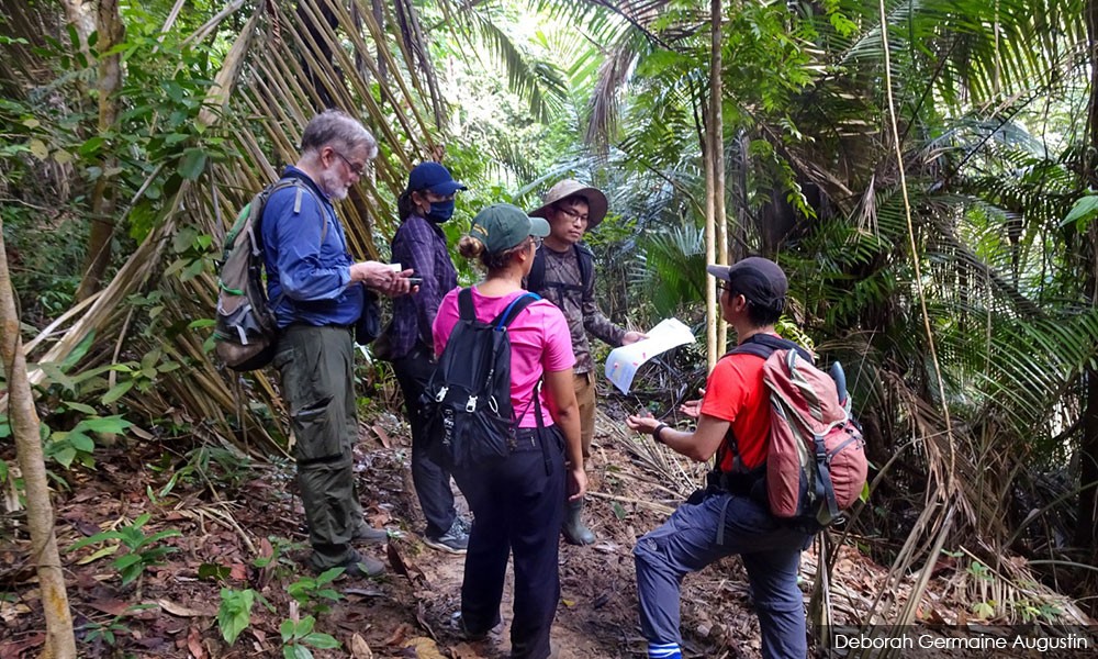 In fight for Shah Alam forest, can activists replicate a win?