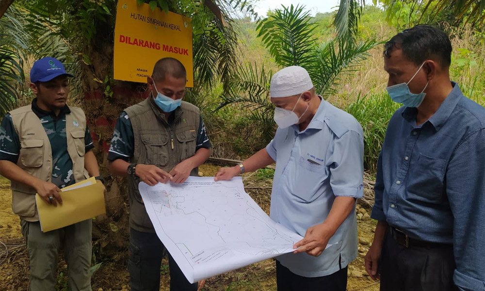 'Tanam sawit di hutan simpan sebelum jual tanah'